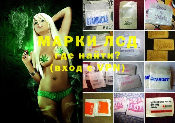 тгк Аркадак